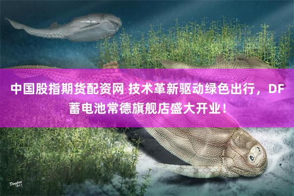 中国股指期货配资网 技术革新驱动绿色出行，DF蓄电池常德旗舰店盛大开业！