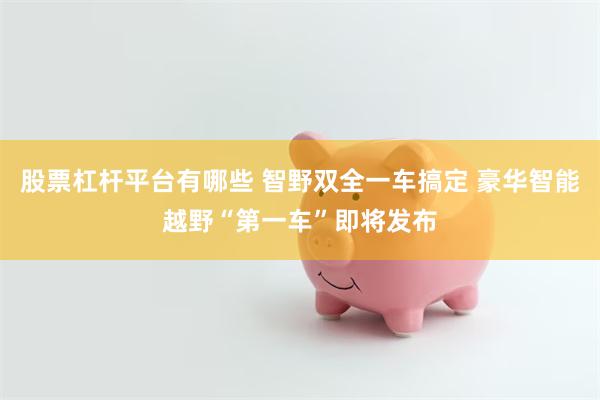 股票杠杆平台有哪些 智野双全一车搞定 豪华智能越野“第一车”即将发布