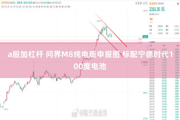 a股加杠杆 问界M8纯电版申报图 标配宁德时代100度电池