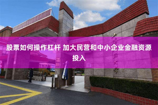 股票如何操作杠杆 加大民营和中小企业金融资源投入