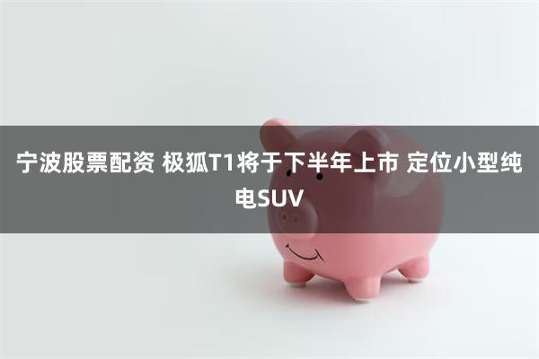 宁波股票配资 极狐T1将于下半年上市 定位小型纯电SUV