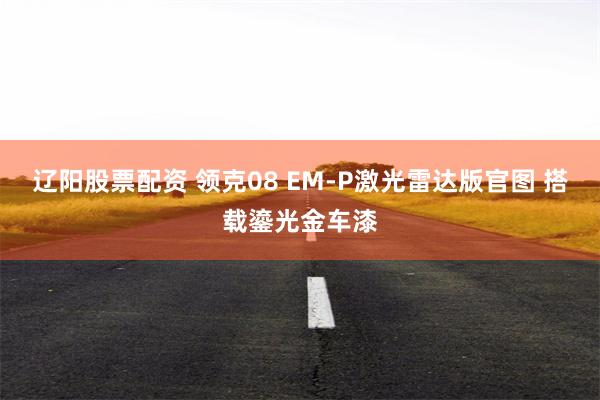 辽阳股票配资 领克08 EM-P激光雷达版官图 搭载鎏光金车漆
