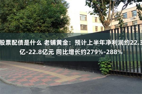 股票配债是什么 老铺黄金：预计上半年净利润约22.3亿-22.8亿元 同比增长约279%-288%