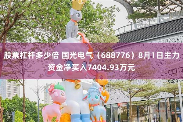 股票杠杆多少倍 国光电气（688776）8月1日主力资金净买入7404.93万元