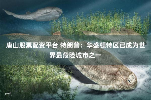 唐山股票配资平台 特朗普：华盛顿特区已成为世界最危险城市之一