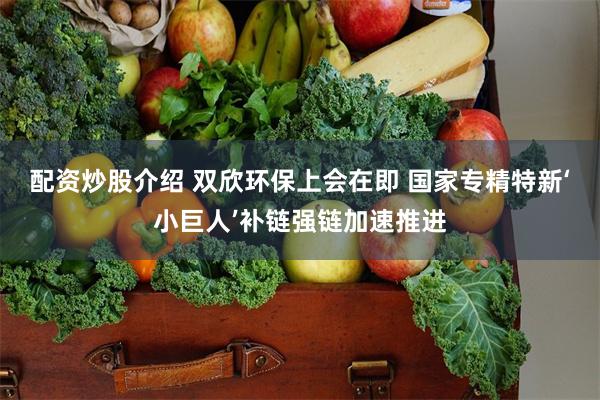 配资炒股介绍 双欣环保上会在即 国家专精特新‘小巨人’补链强链加速推进