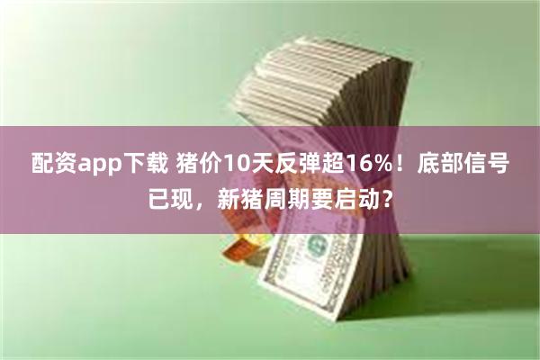 配资app下载 猪价10天反弹超16%!底部信号已现,新猪周期要启动?