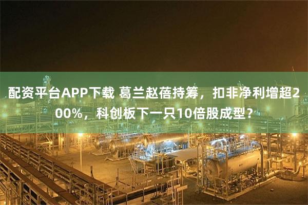 配资平台APP下载 葛兰赵蓓持筹，扣非净利增超200%，科创板下一只10倍股成型？