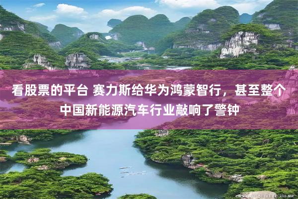 看股票的平台 赛力斯给华为鸿蒙智行，甚至整个中国新能源汽车行业敲响了警钟