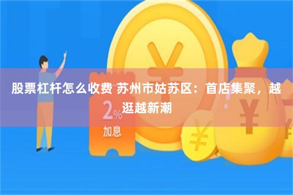股票杠杆怎么收费 苏州市姑苏区：首店集聚，越逛越新潮