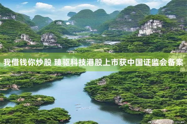我借钱你炒股 臻驱科技港股上市获中国证监会备案