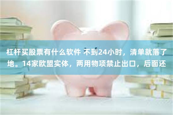 杠杆买股票有什么软件 不到24小时，清单就落了地。14家欧盟实体，两用物项禁止出口，后面还