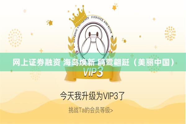 网上证劵融资 海岛焕新 鸥鹭翩跹（美丽中国）