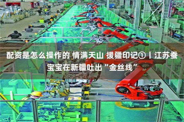 配资是怎么操作的 情满天山 援疆印记①丨江苏蚕宝宝在新疆吐出“金丝线”