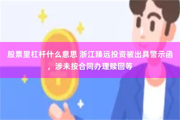 股票里杠杆什么意思 浙江臻远投资被出具警示函，涉未按合同办理赎回等